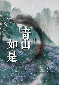 青山如故茶叶